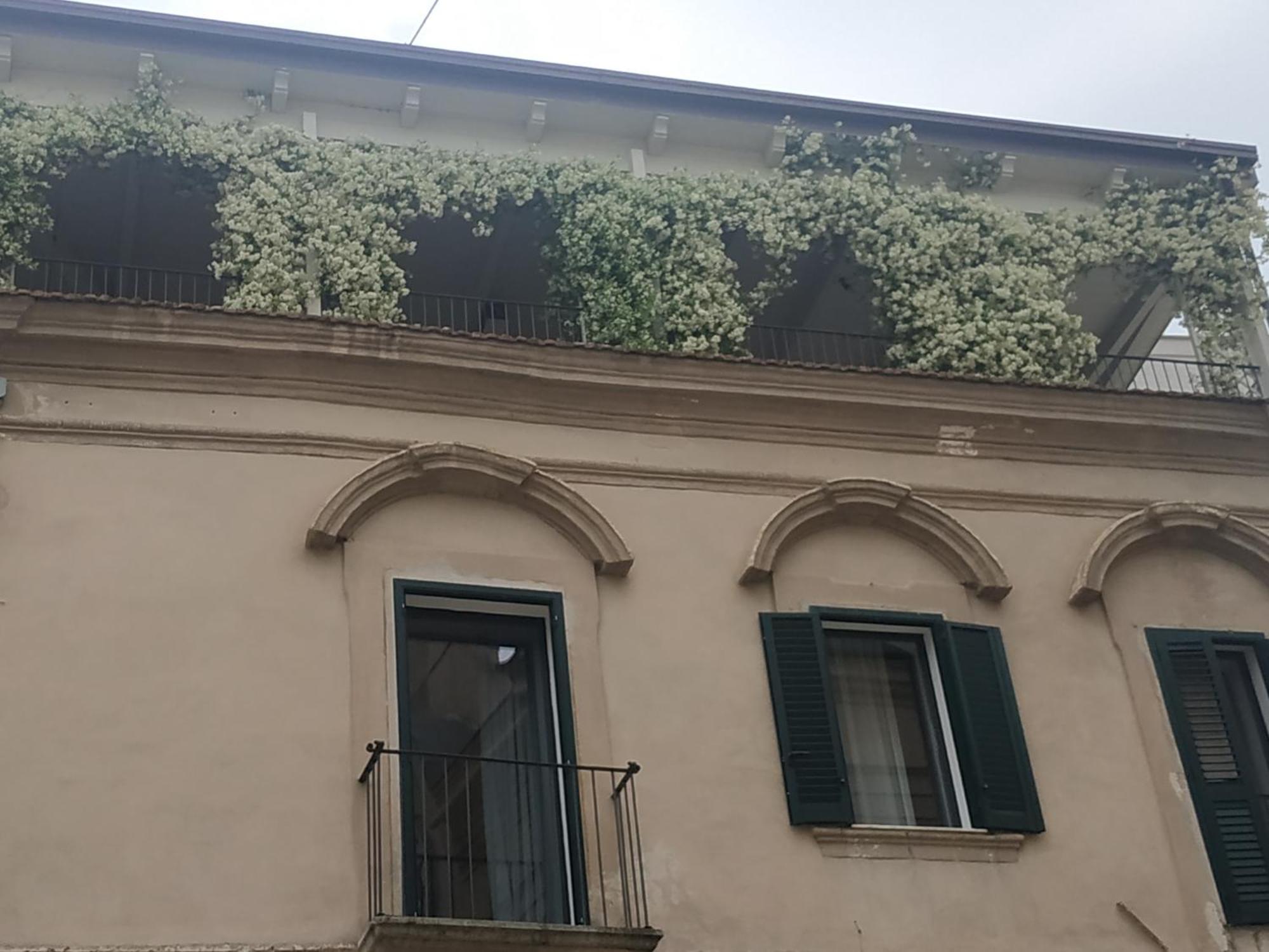 Miro' Rooms Gravina in Puglia Exterior photo